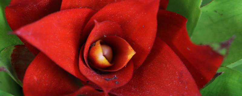 招財(cái)?shù)幕ɑ芏加心男?></a></i>
           <h2><a  target=