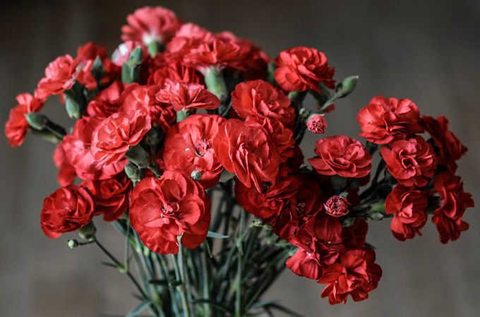 过生日送什么花?