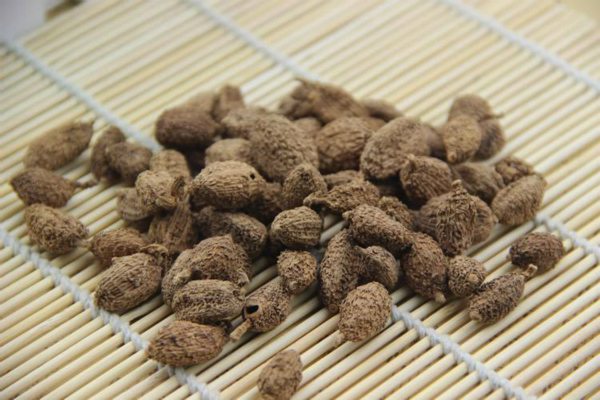 砂仁的病虫害防治 砂仁的病虫害防治