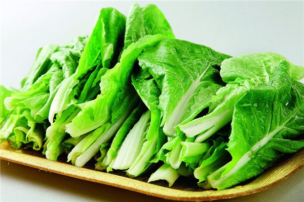 小白菜的病虫害防治 小白菜的病虫害防治